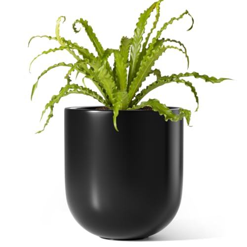 LE TAUCI 6 Inch Ceramic Plant Pot, Small Indoor Planter, Black - color: Black, size: 6”