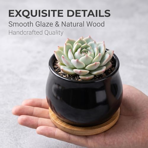 SHECIPIN 8 Pack Succulent Plant Pot, Matte Black Mini 2.6 inch Ceramic Flower Planter Pot with Bamboo Tray, Small Pots for Plants, Plants Not Included - color: Black