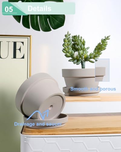 vensovo 3.7 Inch Grey Terracotta Succulent Pots with Saucers, 6 Pack - color: Gray, size: 3.7 Inch