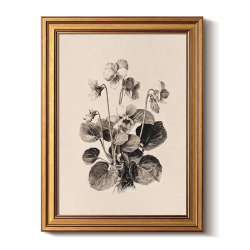 Bzstyleart Vintage Wall Art Decor for Living Room, Gold Framed Flower Wall Art Vintage Travel, Sketching Painting Picture, Home Decor Aesthetic for Kitchen Bathroom, Viola Sororia, 12L x 16W - color: Sketch Blue Violet, size: 16"L x 12"W