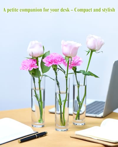 16PCS Glass Cylinder Bud Vases, 7.48" H x 1.81" W, Clear