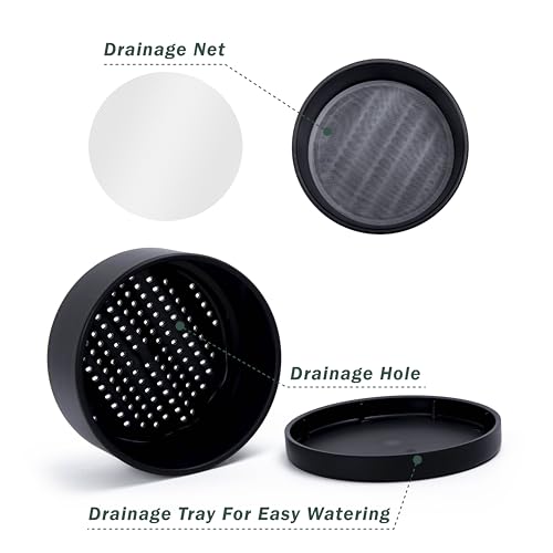 D'vine Dev 8 in Shallow Round Succulent Planter, Black, 76-Z-B-1 - color: Black, size: 8 Inch