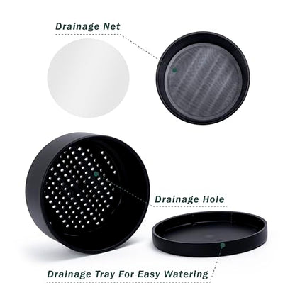 D'vine Dev 8 in Shallow Round Succulent Planter, Black, 76-Z-B-1 - color: Black, size: 8 Inch