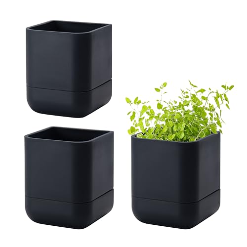 Phoenix Vine 3.5 Inch Wall Mounted Self-Watering Planter Pot for Indoor Houseplants and Herbs | Hanging Planter for Window Sills, Bathroom Walls, Home & Office Décor, Black, Set of 3, 01-A-E-3 - color: Black, size: 3.5" (3 Pack)