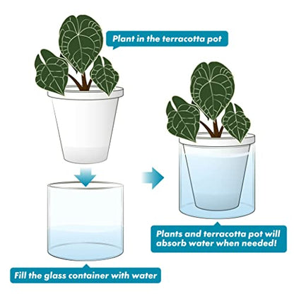 D'vine Dev Self-Watering White Terracotta Planter Pot, 6 in, 37-X-B-2 - color: White, size: 6 Inch