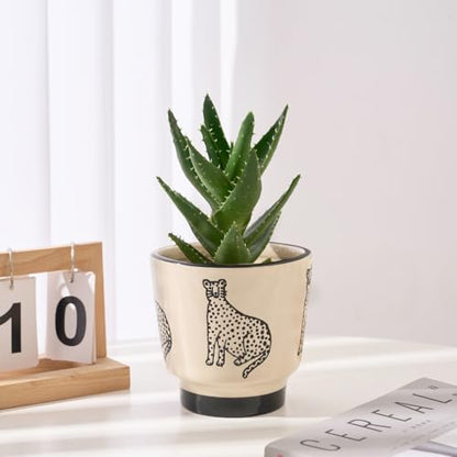 STHIE 5 Inch Ceramic Planters for Indoor Plants, Funny Small Plant Pots - color: Beige-panther
