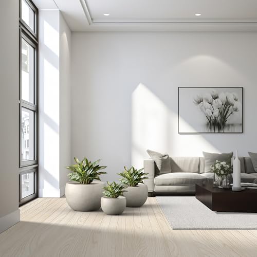 Kante Set of 3 Weathered Concrete Bowl Planters 20" 15.7" 11.8" Dia - color: Weathered Concrete, size: 19.9"D + 15.7"D + 11.8"D