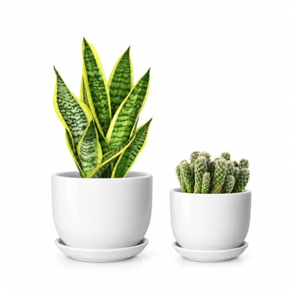 6.7 + 5.5 Inch Ceramic Plant Pot with Drainage and Saucer - size: 6.7 + 5.5 Inch 2 Pcs