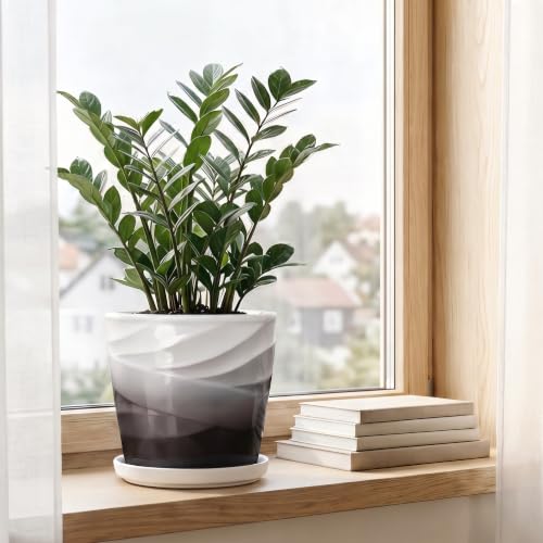8 Inch Ceramic Plant Pot,Dark Gray+White - color: Dark Gray + White, size: 8 Inch-1 Pack