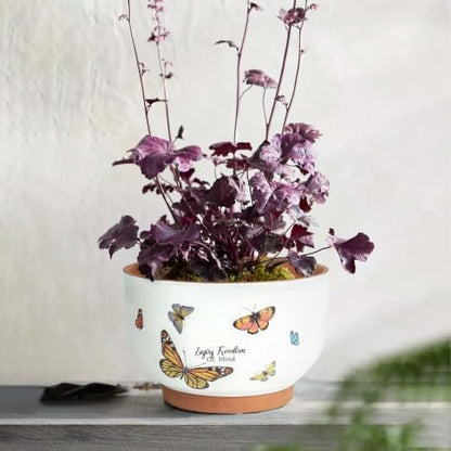 Terracotta Pots, 8+6 Inch Plant Pots, 2 Pcs with Drainage Holes - color: Jardin Butterfly, size: 8+6 Inch