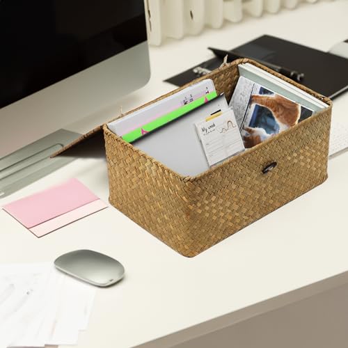 Seagrass Wicker Storage Basket with Lid, Large, Natural - color: Natural, size: 13" x 8.66" x 6.1"