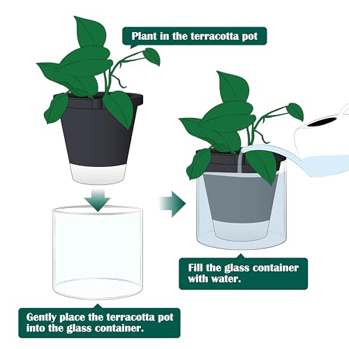 D'vine Dev Self-Watering Black Terracotta Planter Pot, 8 in, 37-X-C-3 - color: Black, size: 8 Inch