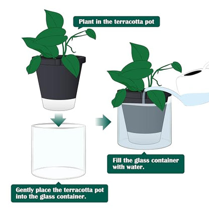 D'vine Dev Self-Watering Black Terracotta Planter Pot, 8 in, 37-X-C-3 - color: Black, size: 8 Inch