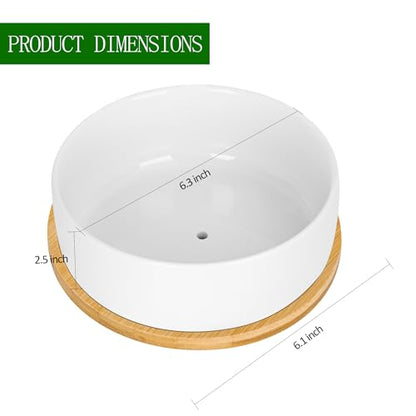 White Ceramic Succulent Plant Pots, Set of 2 Round Planter Small Cactus Container, Bonsai Pots, Succulent Pots with Drainage Hole& Bamboo Tray (No Plant) - color: Round*2