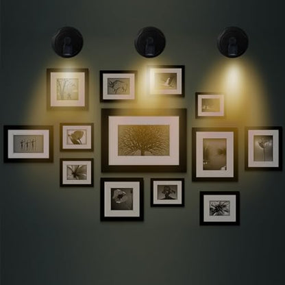 Battery Operated LED Spotlight, Indoor Picture Plant Spot Lights - color: Black