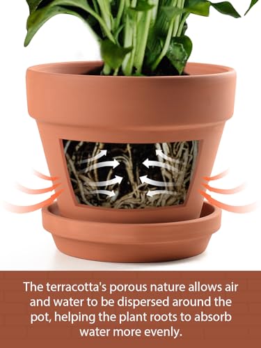 INGOFIN Terracotta Pots Set with Saucer - 2-Pack Ceramic Clay Planters with Drainage Hole, Garden Flower Succulent Pots with Tray for Indoor Outdoor Plants, 8 inch, Set of 2 - size: 8/8 inch -2 pcs