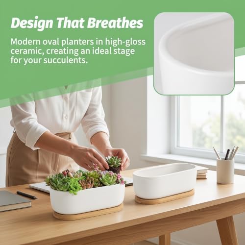 2 Pack Oval White Ceramic Succulent Planters with Bamboo Tray