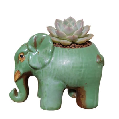 Cute Animal Elephant Shaped Ceramic Succulent Cactus Air Plant Flower Pots Planters-Plant Not Included (6.7 Inch) - size: 6.7 Inch