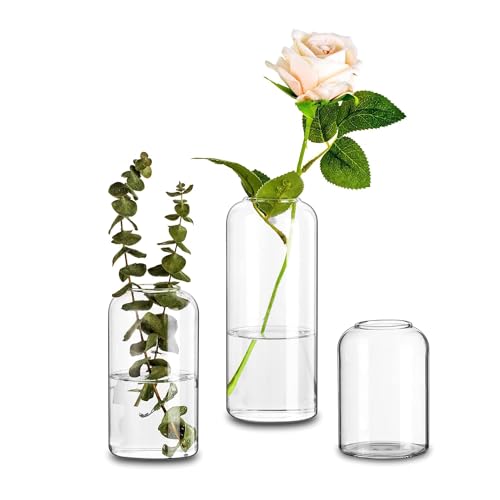 Glasseam Glass Bud Vases for Centerpieces, 3Pcs Modern Clear Small Vase Set - color: Clear