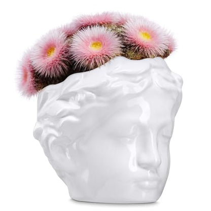 Small Head Planter - Ceramic Face Planter Pots for Indoor Plants, Cute Funny Succulent Pot with Drainage Hole, Unique Gift, 3.9" - color: White