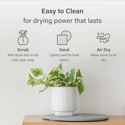 Dorai Home Stone Plant Pots Saucer Set 11.8" - Diatomite Water-Absorbing Trays for Indoor Plants, Ideal for Shelves & Floors | Pack of 2 Large