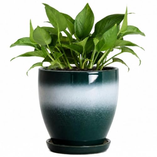 Ceraimc 6 Inch Planters, Ceraimc Pots for Plants, Green-White - color: Green-white, size: 6 Inch