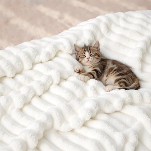 Bedsure Soft Cozy Queen Size Fleece Blanket for Bed Off White 90"x90" - color: Off White, size: Queen