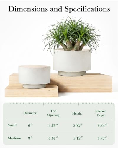 Succulent Pots, 8"+6" Plant Pots, Ceramic Planters for Indoor Plants - color: White