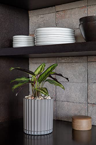 Veradek Demi Series Demi 6" Planter w/Tray, Grey - color: Gray, size: 6 inch