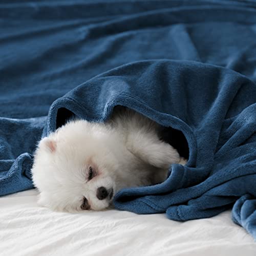 BEAUTEX Fleece Throw Blanket for Couch Sofa Bed Soft Fuzzy Plush - color: Dusty Blue, size: Throw
