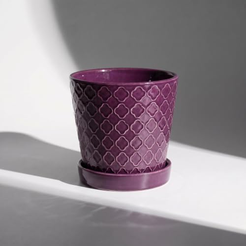 EFISPSS Ceramic Plant Pots, 5 Inch Planters with Drainage Holes and Ceramic Tray, Relief Design Flower Planter, Desktop Office Windowsill Decoration Gift Set of 4 - Plum - color: Plum
