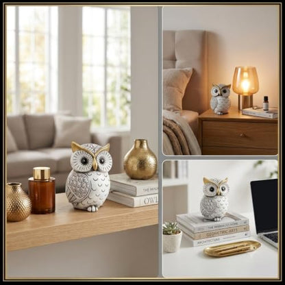 Smadeer Black and White Owl Statue, Small Resin Owl Boho Shelf Decor - color: White