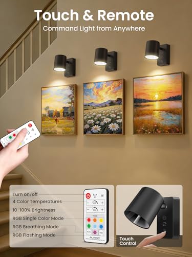 ALUSSO Battery Operated Picture Light for Wall, Rechargeable Wireless with Remote, Dimmable LED for Picture Frame, 4 Temps 9 RGB, 24° Narrow Beam Art Spotlight, 2 Pack
