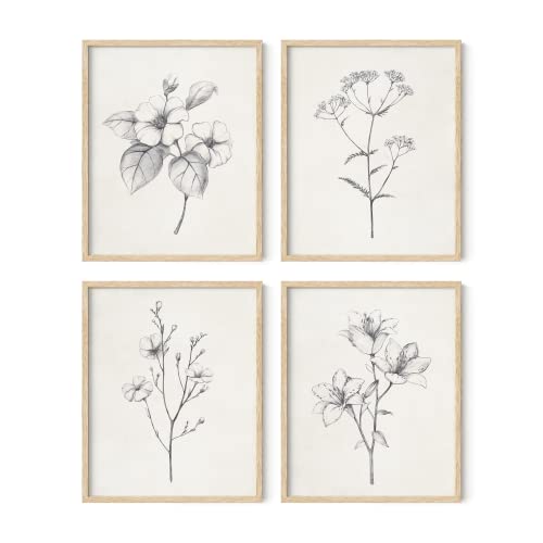 HAUS AND HUES Grey Floral Wall Art - Set of 4 Plant Posters for Wall Vintage, Botanical Prints, Black and White Flower Pictures for Room Aesthetic, Farmhouse Bathroom, Rustic Art (Beige Frame, 16x20) - color: Antique Flower Drawings, size: 16x20, style: B