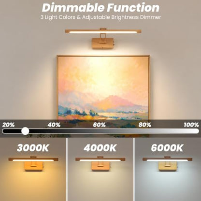 Battery Operated Picture Light for Wall,Wood Finish 15.7-Inch - color: Wood Finish, size: 15.7 Inch