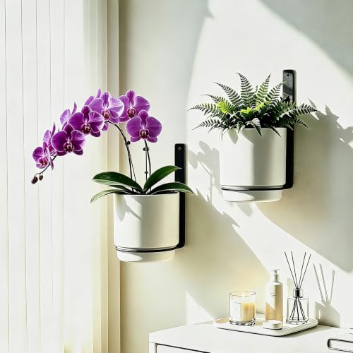 2 Pcs Wall Mounted Hanging Planter Vase for Indoor Outdoor Plants,Modern Metal Wall and Ceiling Hanging Flower Pot with Removable Flower Pot,Minimalist Decor for Herbs Succulents Flowers,5.9Inch,White - color: White, size: 5.9Inch