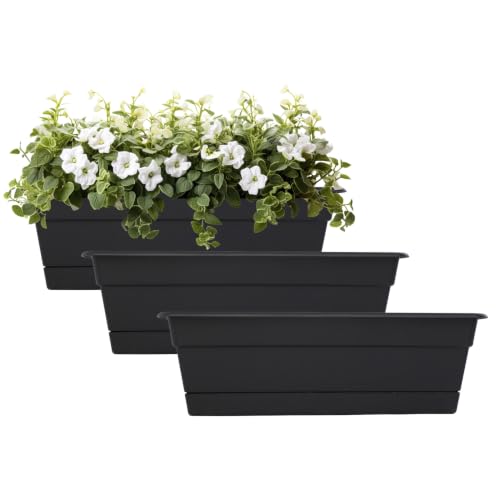 Bloem Dura Cotta 24" Plastic Window Box Planter with Saucer, Black, 3-Pack - color: Black, size: 24" (Pack of 3)