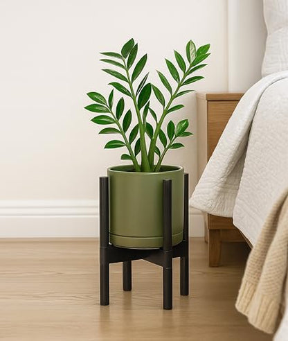 D'vine Dev Ceramic Pot with Ebony Wood Stand, Olive, 8 in, 55-B-M-J - color: Olive Pot + Ebony Stand, size: 8 Inch