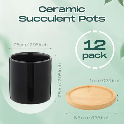 Cindeer 12 Pack Small Succulent Pots 3 Inch Plant Pots with Drainage,Black - color: Black