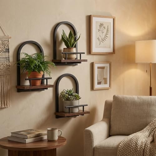 Amaoot Floating Shelves Set for 2, Wall Plant Holder Shelf, Wall Planters