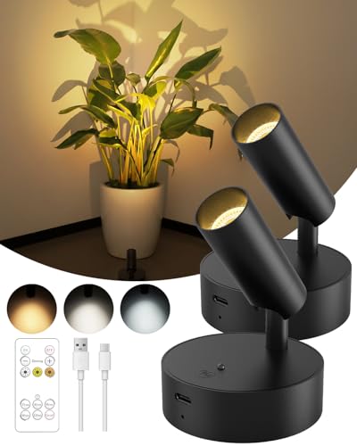 Spotlights Indoor with Remote, 3000Mah Rechargeable Wireless Plant Light - color: Black-3000mAh
