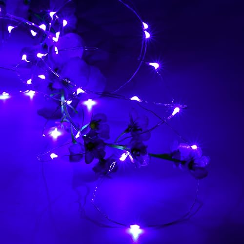 Karlling USB Plug in LED Fairy Lights,50 LED Bulbs 16 Ft Silver Wire Starry String Lights for Bedroom Patio Garden Party Wedding Commercial Lighting (Purple) - color: Purple, size: 50 Leds