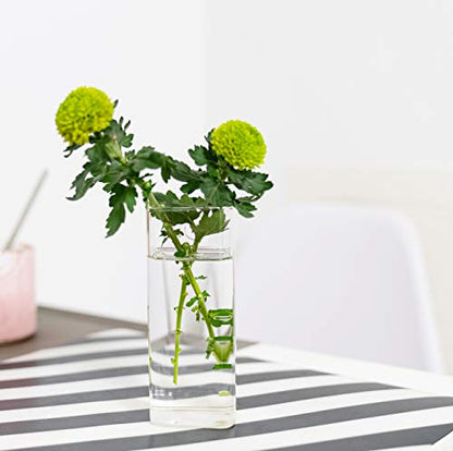 Square Glass Propagation Vase 4 Pack, Wall Hanging Hydroponic Planter - color: Square Tube