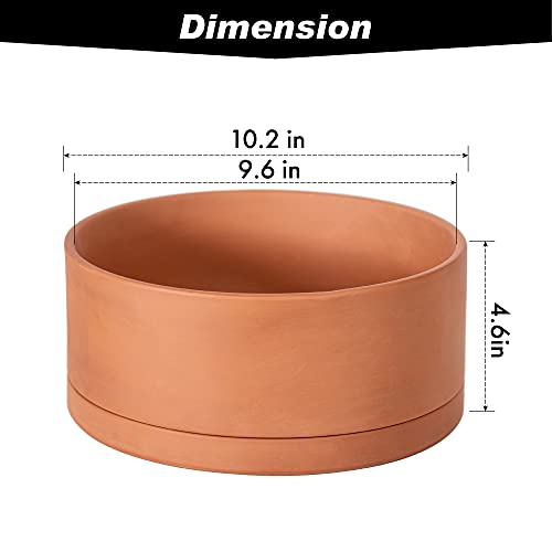 D'vine Dev Terracotta Shallow Planter Pot with Saucer, 10 in, 40-Y-B-0 - size: 10 Inch