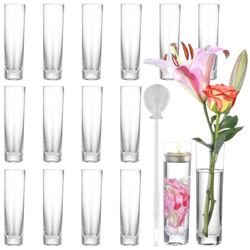 16PCS Glass Cylinder Bud Vases, 7.48" H x 1.81" W, Clear