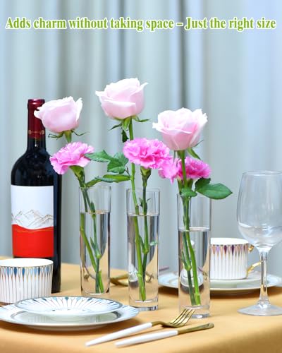 16PCS Glass Cylinder Bud Vases, 7.48" H x 1.81" W, Clear