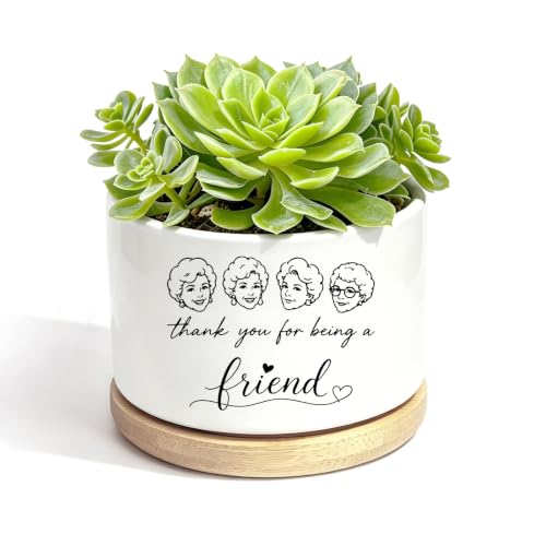 Ceramic Succulent Pots, Small Flower Planter with Bamboo Base, No Plants - color: Friends
