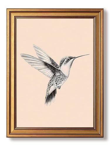 Gold Framed Hummingbird Wall Art Black And White Bird Pictures 12x16 Inch - color: Hummingbird, size: 16"L x 12"W