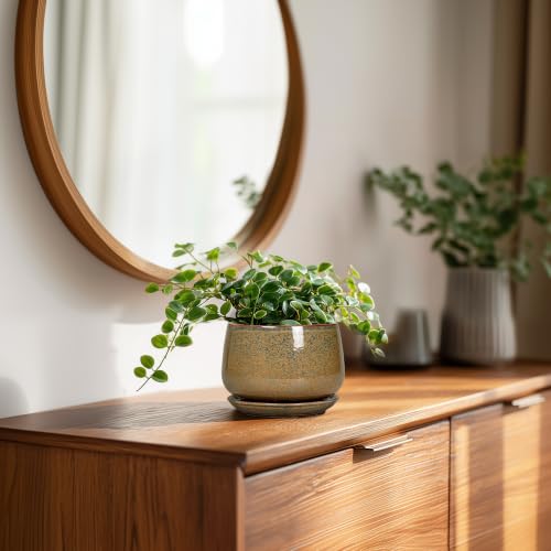 G EPGardening Ceramic Pots for Plants, 4 Inch, Speckled Brown - color: Speckled Brown, size: 4 Inch