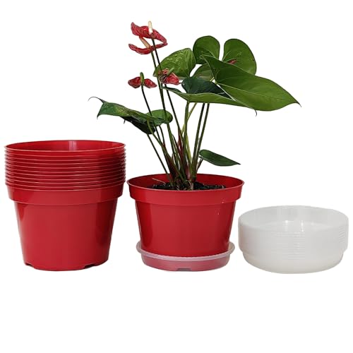 RooTrimmer 8 inch Plastic Flower Pots, Red Plant Pots 12Pack with Saucers for Indoor House Plants Growing and Decoration - color: Red, size: 8 Inch 12 Pack